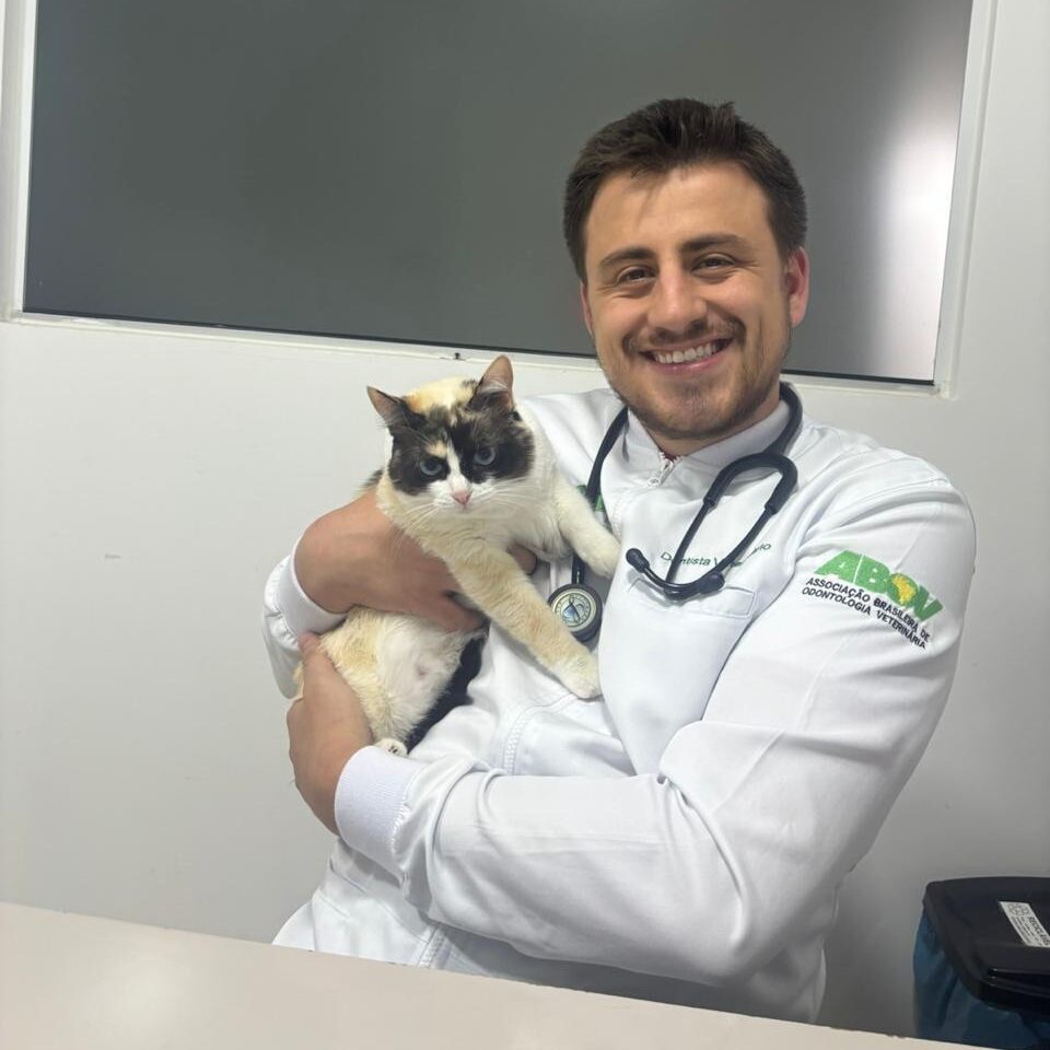 Dr Marcos - Odontologista