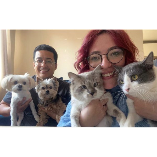 Tutora Jessica, pets Charles, Enzo, Fred e Lewis2